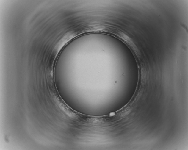 X0000102031234200807251344