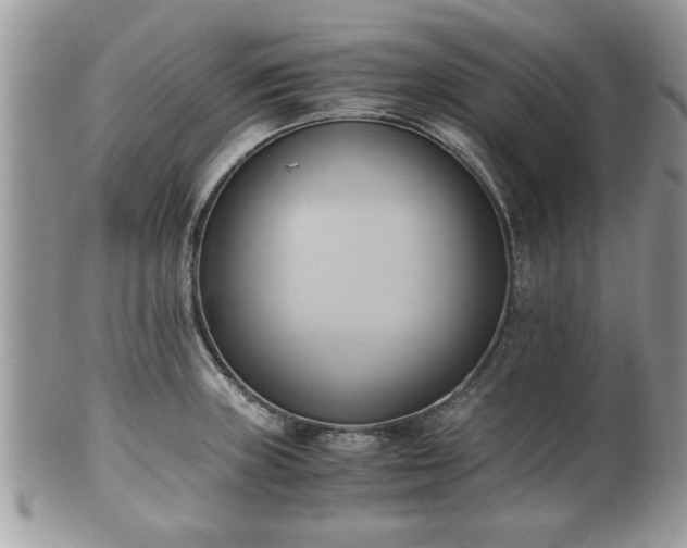 X0000102031235200807251344