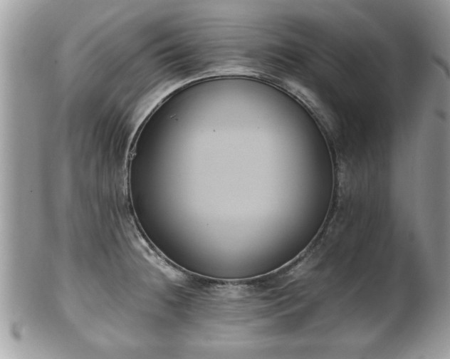 X0000102031236200807251344