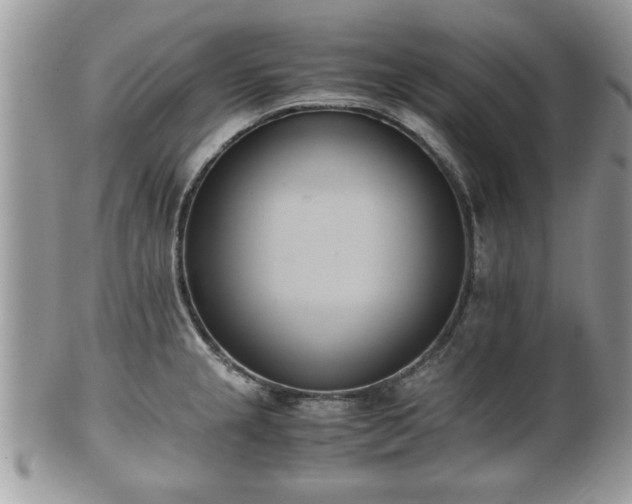 X0000102031237200807251344