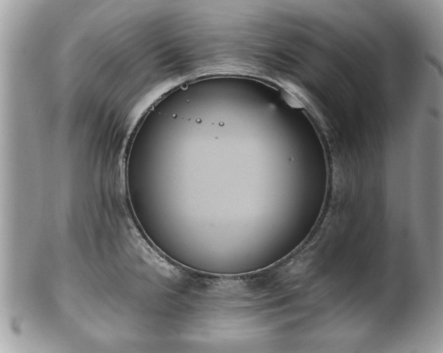 X0000102031238200807251344