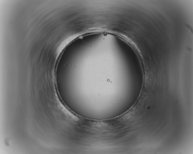 X0000102031239200807251344