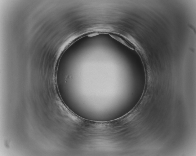 X0000102031240200807251344