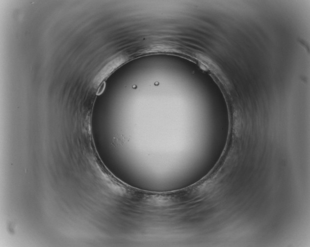 X0000102031241200807251344