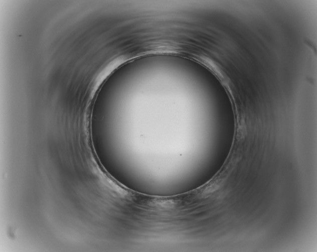 X0000102031243200807251344