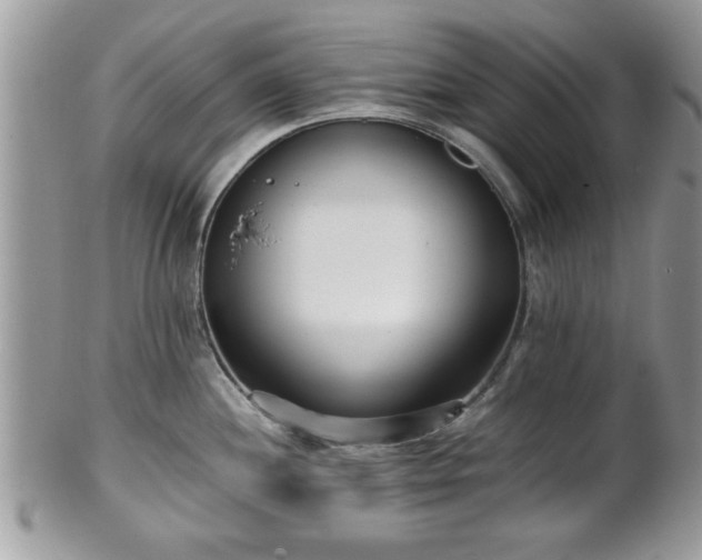 X0000102031244200807251344