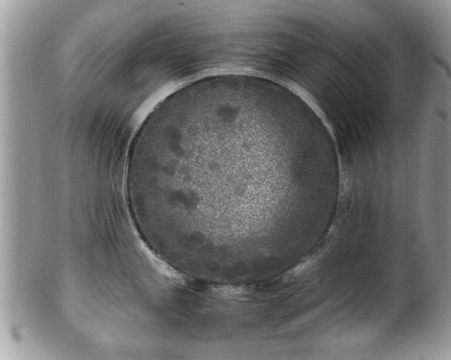 X0000102031245200807251344