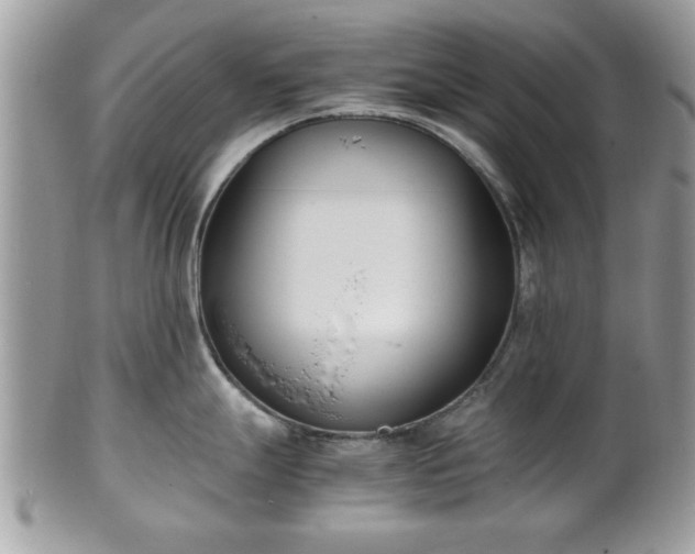 X0000102031247200807251344