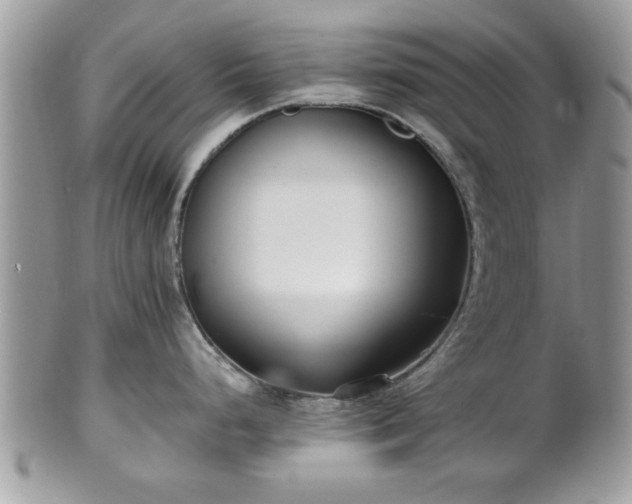 X0000102031248200807251344