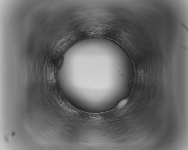 X0000102031250200807251344