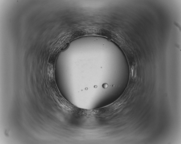 X0000102031251200807251344