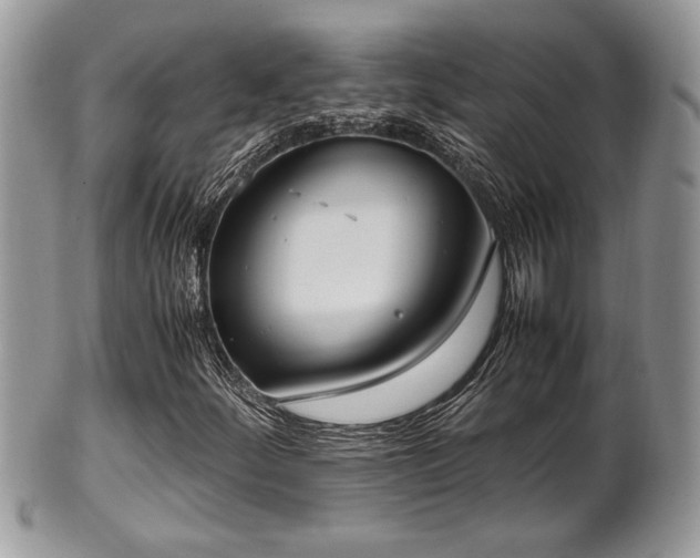 X0000102031252200807251344