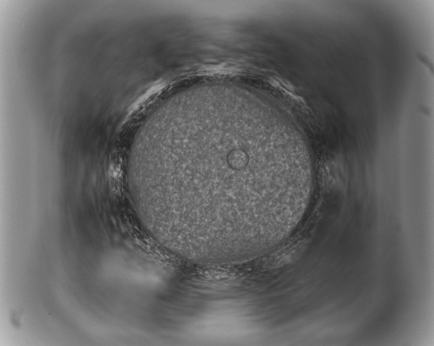 X0000102031254200807251344