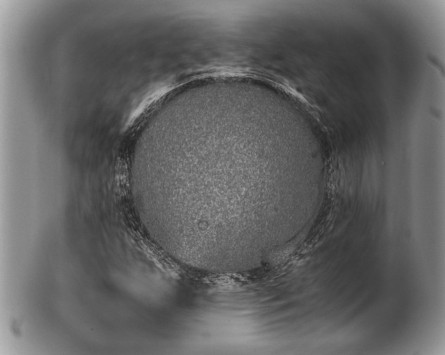 X0000102031255200807251344