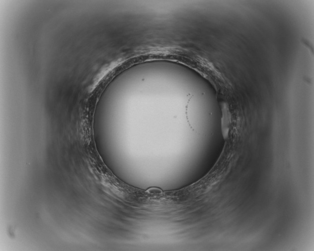 X0000102031256200807251344