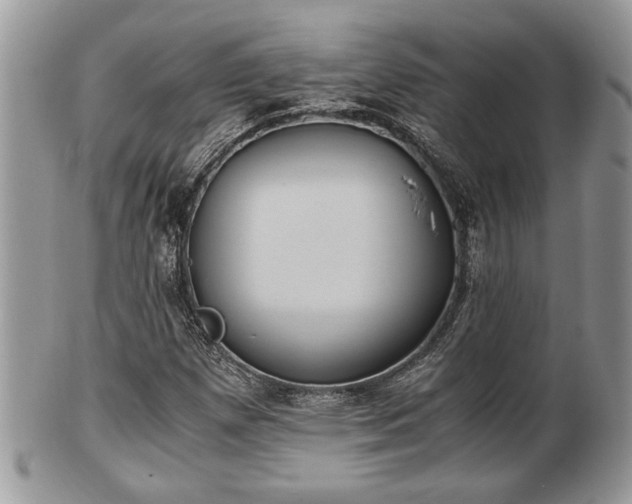 X0000102031257200807251344