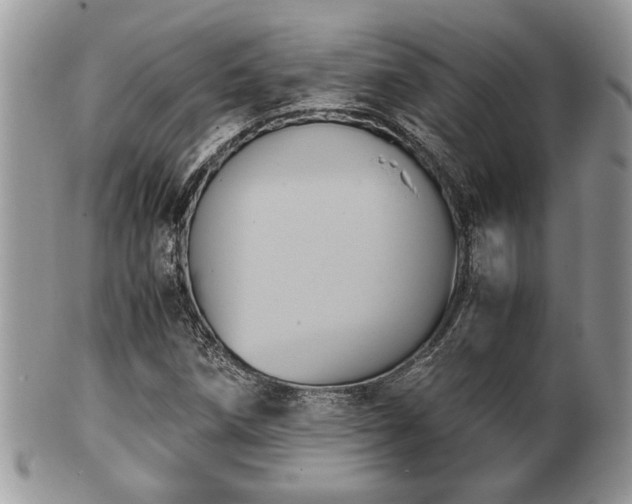 X0000102031258200807251344