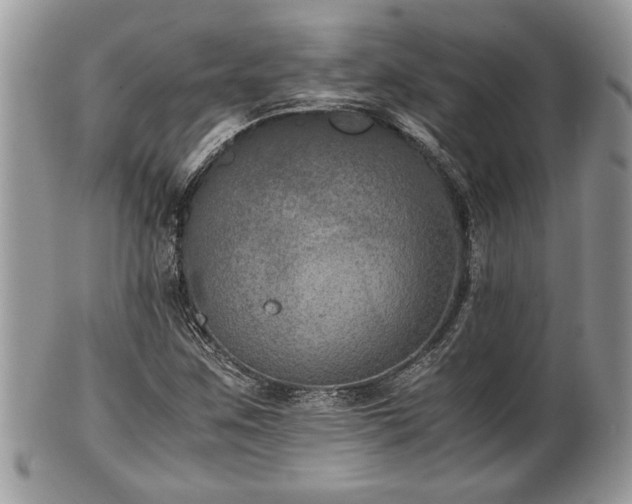 X0000102031259200807251343