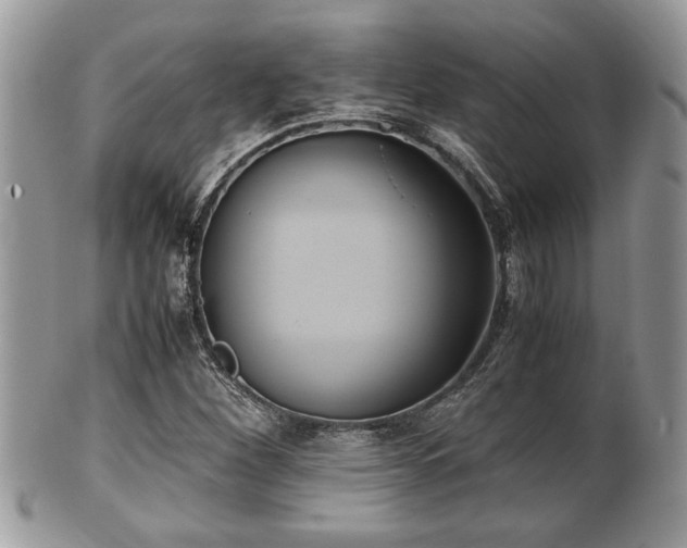 X0000102031260200807251343