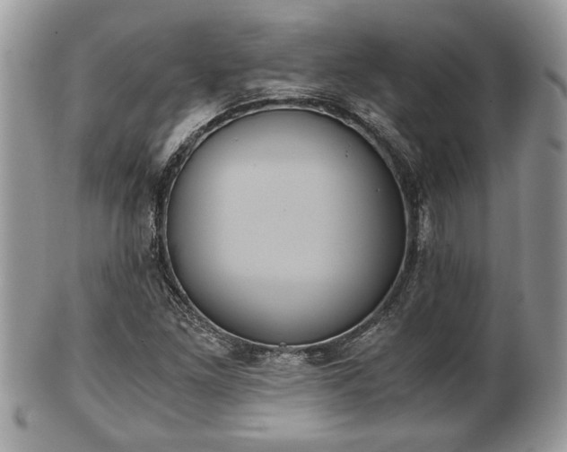 X0000102031261200807251343