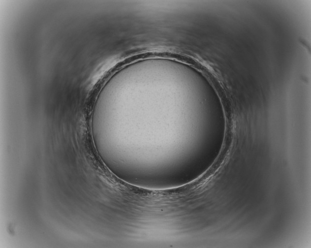 X0000102031263200807251343