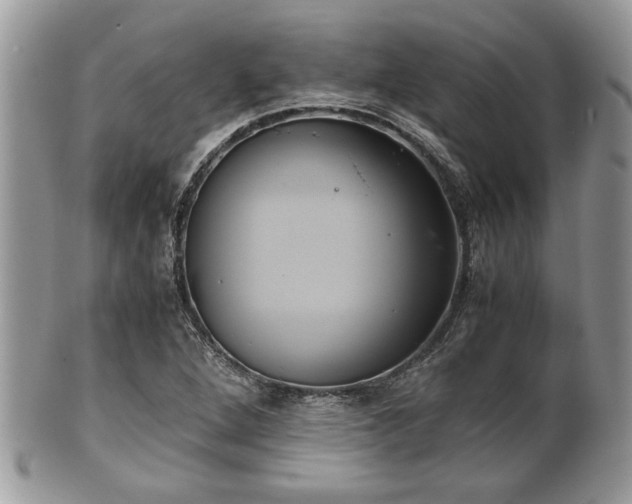 X0000102031264200807251343