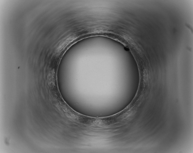 X0000102031265200807251343