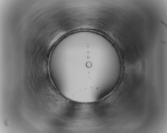 X0000102031266200807251343