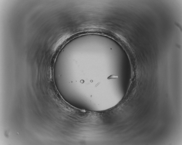 X0000102031267200807251343