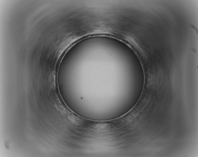 X0000102031268200807251343