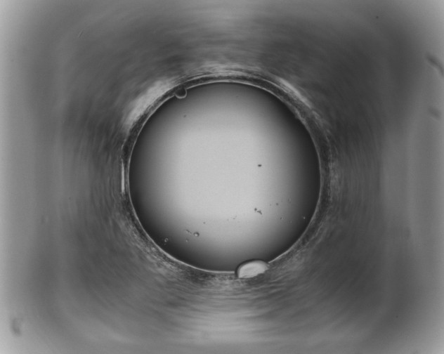 X0000102031269200807251343