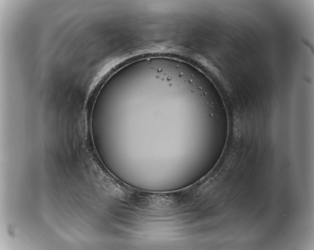 X0000102031270200807251343