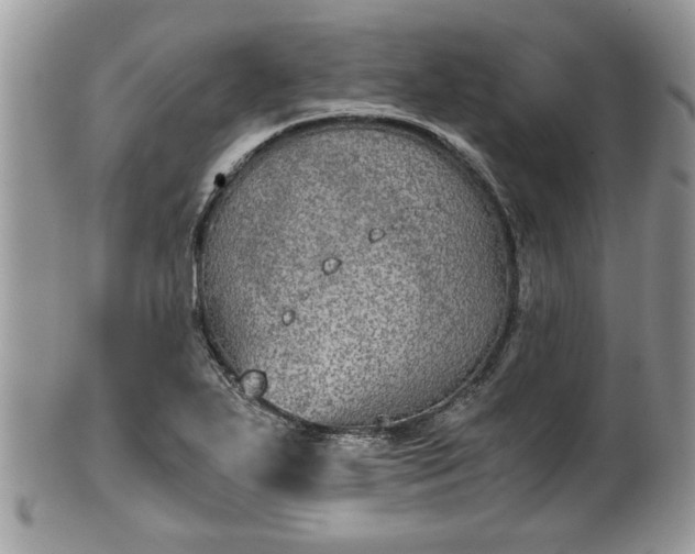 X0000102031271200807251343