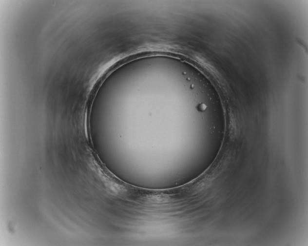 X0000102031272200807251343