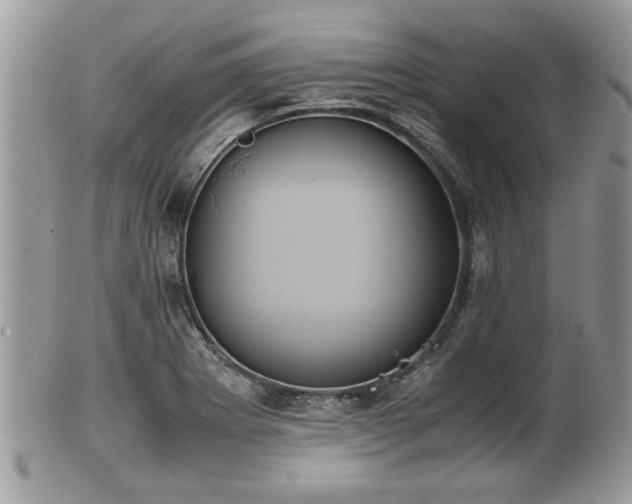 X0000102031273200807251343