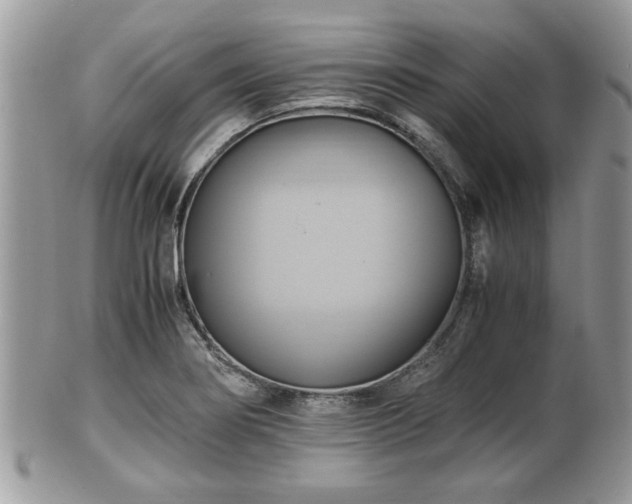 X0000102031274200807251343