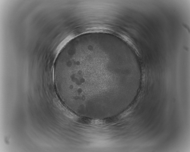 X0000102031275200807251343