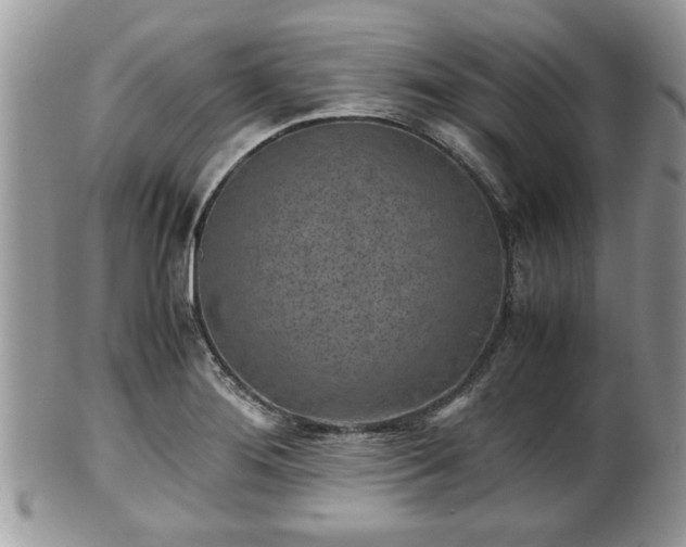 X0000102031276200807251343