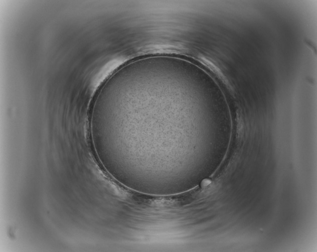 X0000102031277200807251343