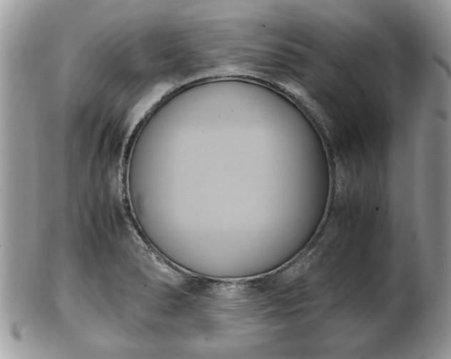 X0000102031278200807251343