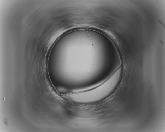 X0000102031279200807251343