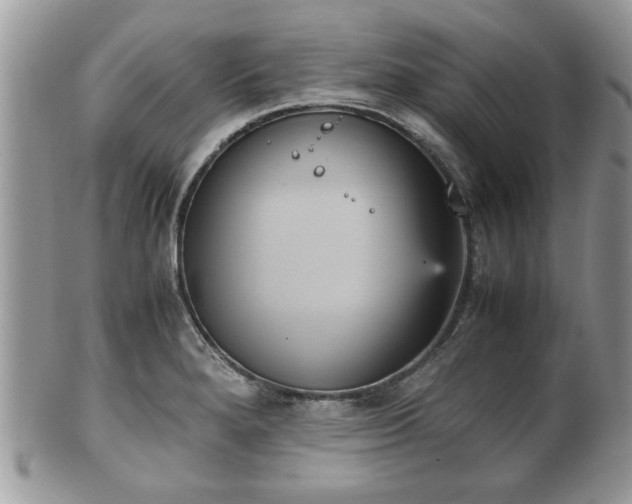 X0000102031280200807251343