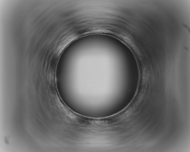 X0000102031281200807251343