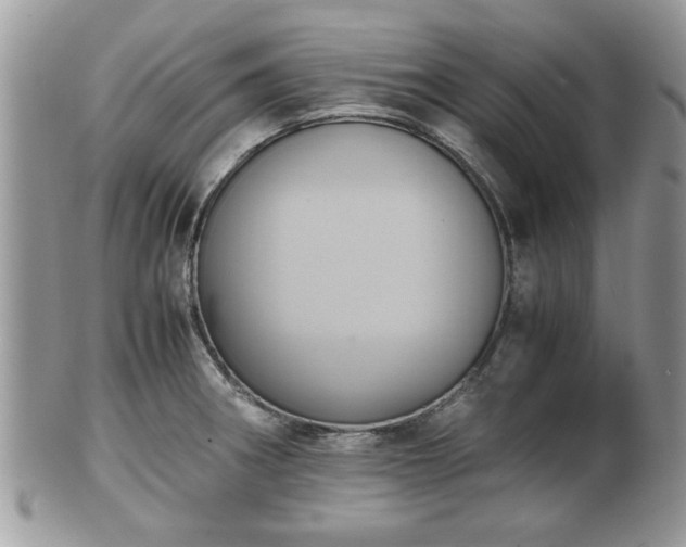 X0000102031282200807251343