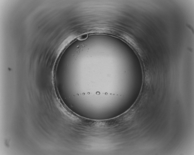 X0000102031283200807251343