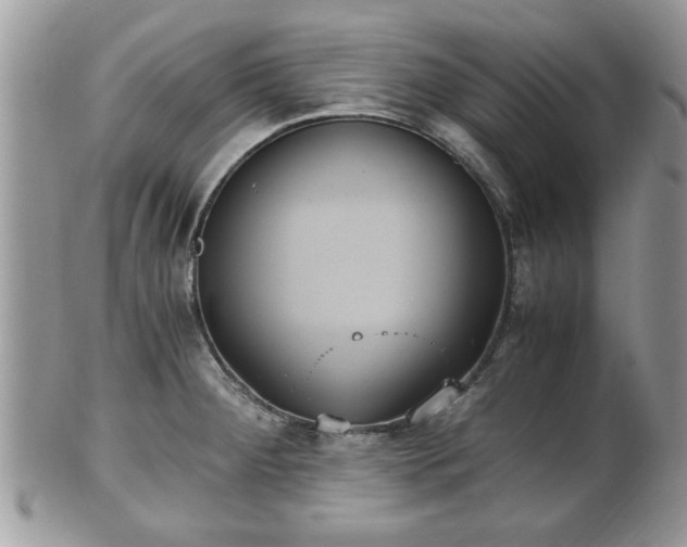 X0000102031284200807251343