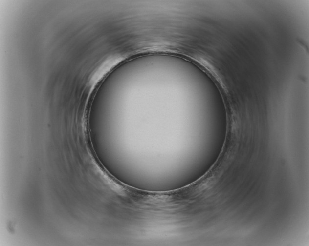 X0000102031285200807251343