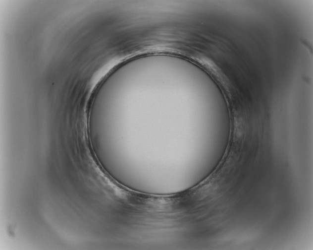 X0000102031286200807251343