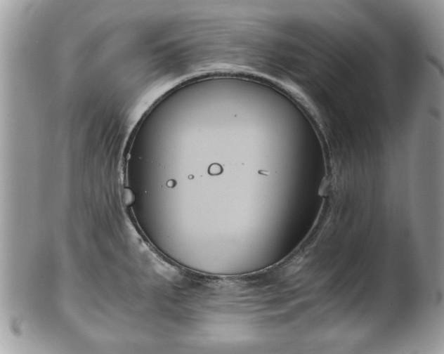 X0000102031287200807251343