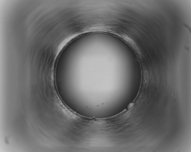 X0000102031288200807251343